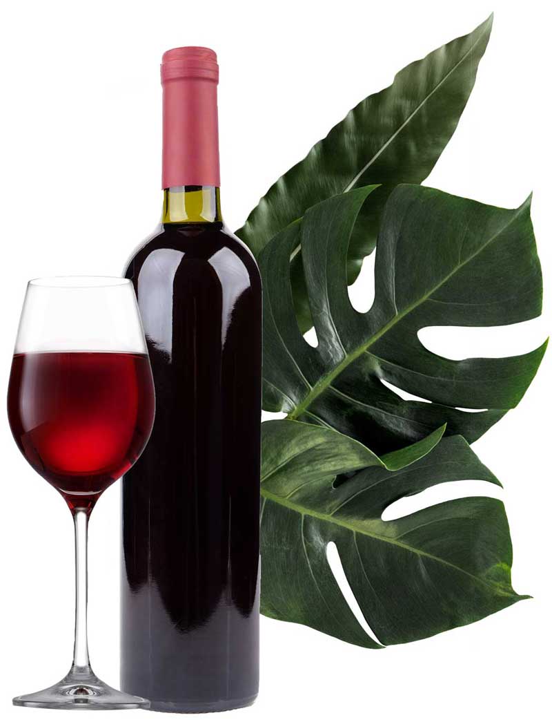 food-6.jpg